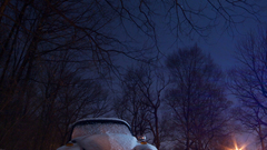 Beetle tried to remove