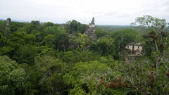 Belize trip Jason 2010