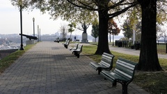 bench City Trees urban outdoors