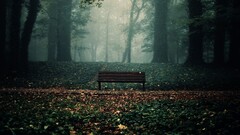 bench leaves Trees fall mist Park fallen leaves
