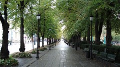 Bench Norway paths oslo