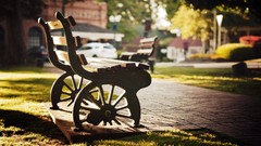 Bench Parks sunlight Tennessee