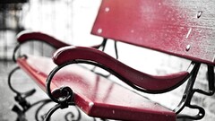 bench selective coloring depth of field