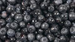 Berries blueberries fruits