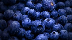 Berries blueberries fruits