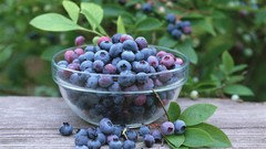 Berries blueberries fruits