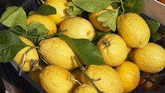 Berries lemons fruits