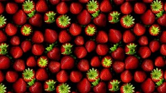 Berry many strawberries fruits