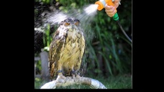 Best background widescreen awesome