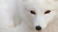 Best background widescreen awesome