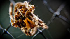 Best background widescreen awesome