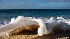 Best background widescreen awesome