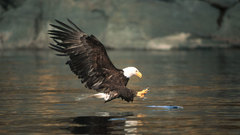 Best background widescreen awesome