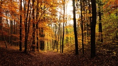 Best background widescreen awesome