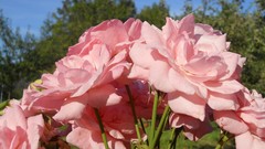 Best background widescreen awesome