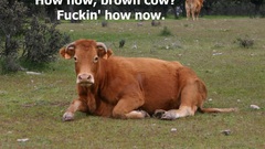 Best background widescreen awesome