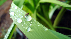 Best background widescreen awesome