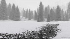 Best background widescreen awesome