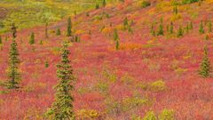 Best background widescreen awesome