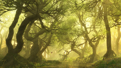 Best background widescreen awesome