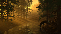 Best background widescreen awesome