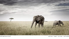 Best background widescreen awesome