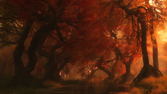 Best background widescreen awesome