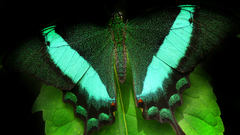 Best background widescreen awesome