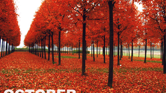 Best background widescreen awesome