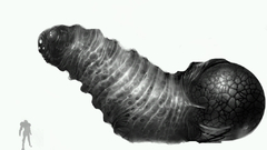 Best background widescreen awesome