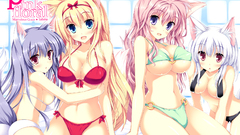 Best background widescreen awesome