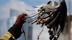 Best background widescreen awesome