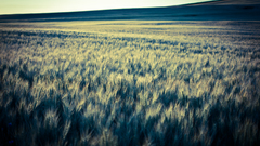 Best background widescreen awesome