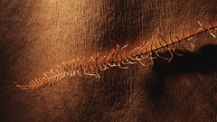 Best background widescreen awesome