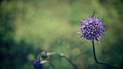 Best background widescreen awesome