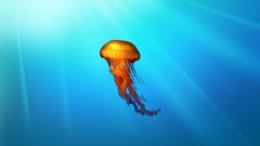 Best background widescreen awesome