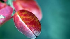 Best background widescreen awesome