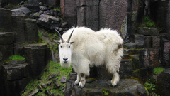 Best background widescreen awesome