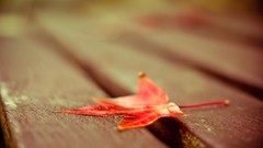 Best background widescreen awesome