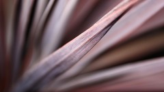 Best background widescreen awesome artistic