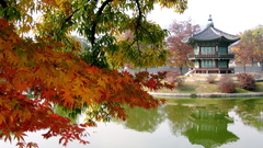 Best Korea high cbe Resolution