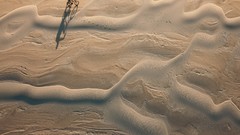 Bicycles deserts national geographic
