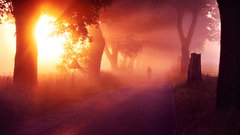Bicycles mist roads sunset