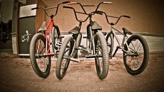 Bicycles photograph