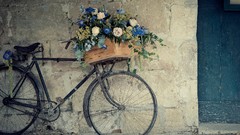 Bicycles photograph
