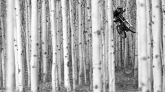 Bicycles Red Bull bmx