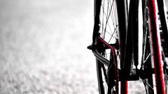 Bicycles selective coloring