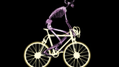 Bicycles X-ray