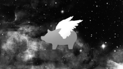 Big New computer help