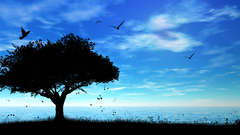 Big tropicasol abstract